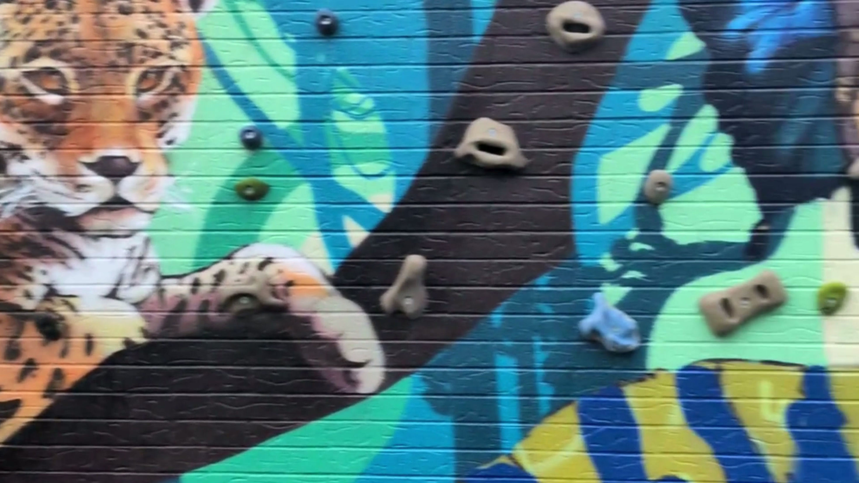 Murals